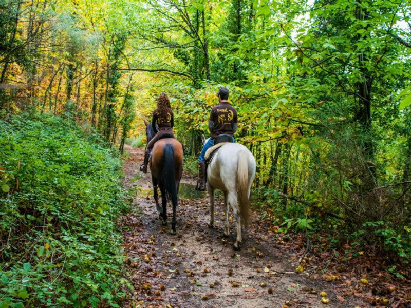 Acogedor Apartamento En El Valle Del Jerte 1 Piornal Εξωτερικό φωτογραφία