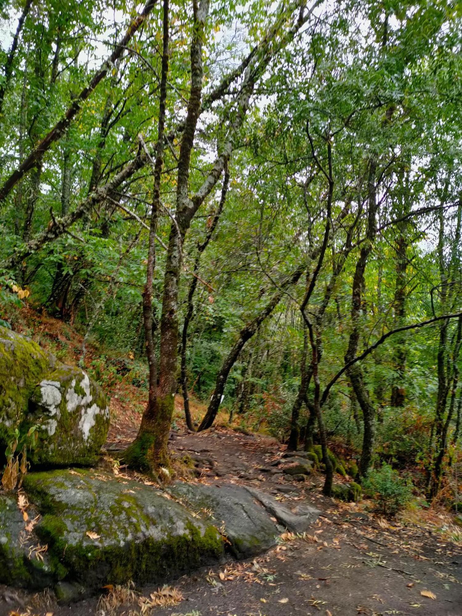 Acogedor Apartamento En El Valle Del Jerte 1 Piornal Εξωτερικό φωτογραφία